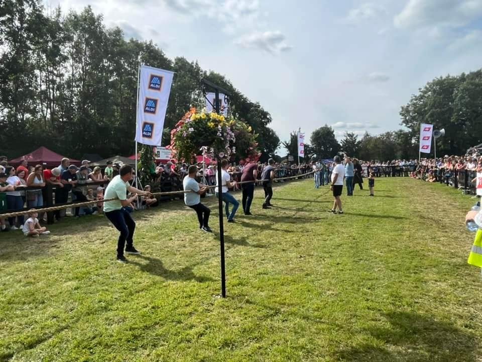 TOWI Sponsorship Framework